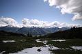 AUS31052009 (96)